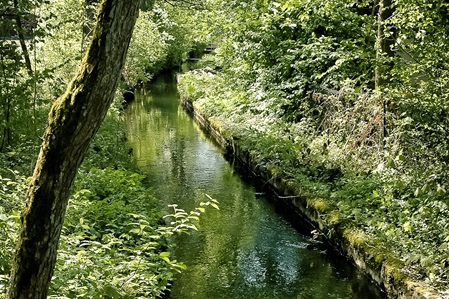 Eulenburg historischer Wassergraben